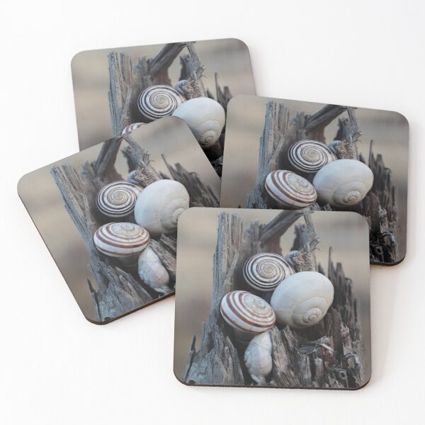 Item preview, Snail Shells Nestled in Weathered Wood Stump With Rustic Spiral Patterns and Natural Texture designed and sold by Nmallia.