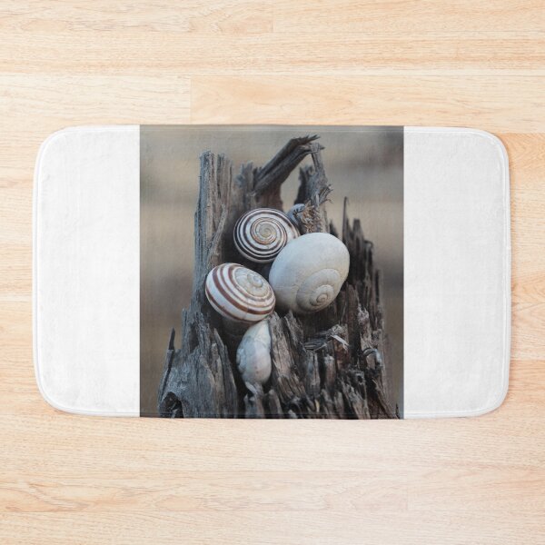Item preview, Snail Shells Nestled in Weathered Wood Stump With Rustic Spiral Patterns and Natural Texture designed and sold by Nmallia.