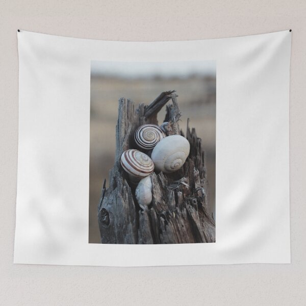 Item preview, Snail Shells Nestled in Weathered Wood Stump With Rustic Spiral Patterns and Natural Texture designed and sold by Nmallia.