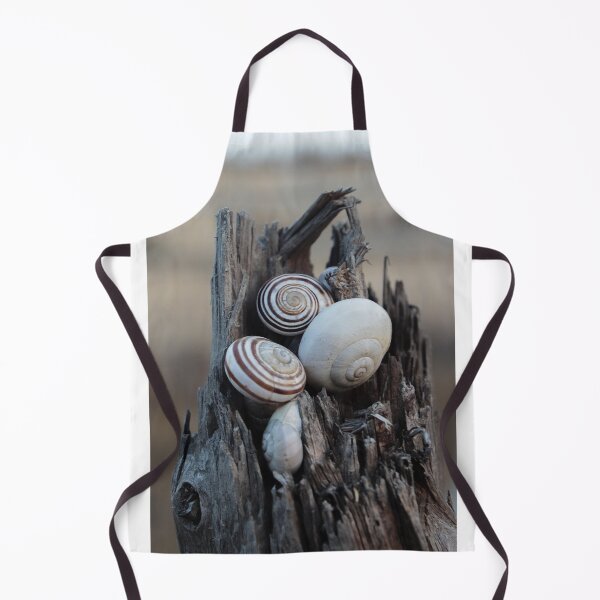 Item preview, Snail Shells Nestled in Weathered Wood Stump With Rustic Spiral Patterns and Natural Texture designed and sold by Nmallia.