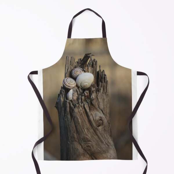 Item preview, Close-Up of Spiral Snail Shells Nestled in Weathered Wood on a Rustic Nature Background designed and sold by Nmallia.