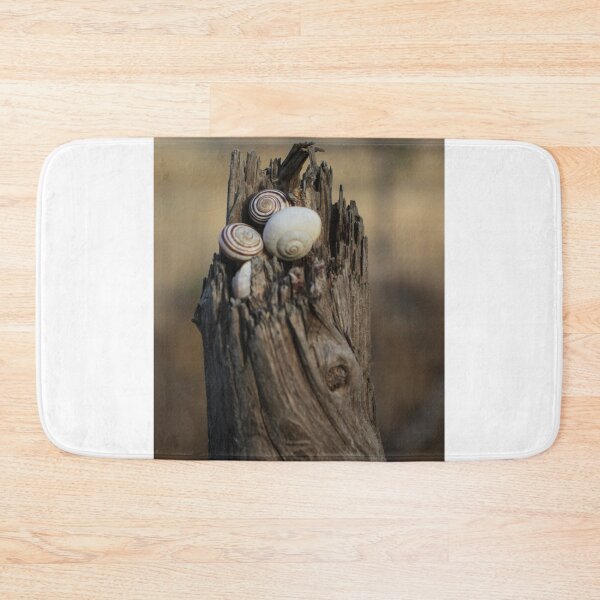 Item preview, Close-Up of Spiral Snail Shells Nestled in Weathered Wood on a Rustic Nature Background designed and sold by Nmallia.