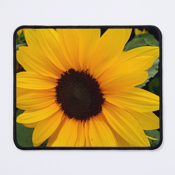 Item preview, Sunny Sunflowers designed and sold by vernonplatt.