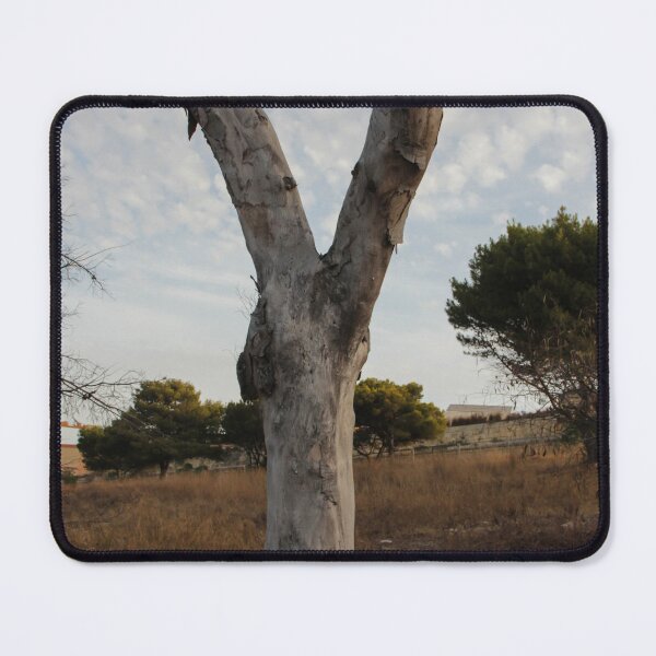 Item preview, Weathered Dead Tree Trunk Split In Y Shape Standing In Dry Field Under Cloudy Sky designed and sold by Nmallia.
