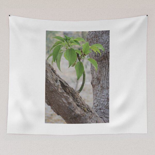 Item preview, Young Sapling Growing From Old Tree Trunk With Bright Green Leaves And Rough Bark Texture designed and sold by Nmallia.