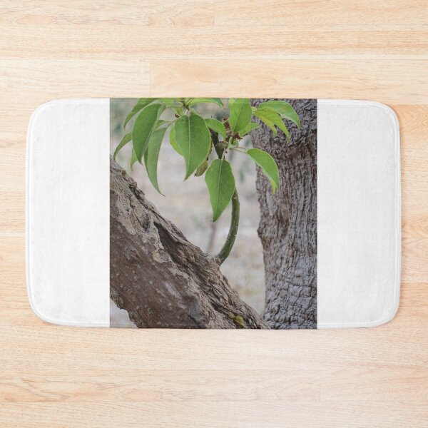 Item preview, Young Sapling Growing From Old Tree Trunk With Bright Green Leaves And Rough Bark Texture designed and sold by Nmallia.