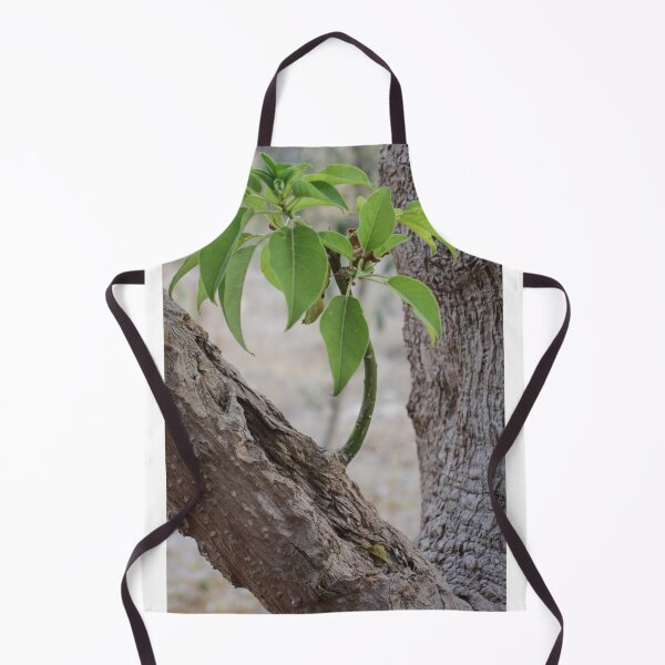 Item preview, Young Sapling Growing From Old Tree Trunk With Bright Green Leaves And Rough Bark Texture designed and sold by Nmallia.