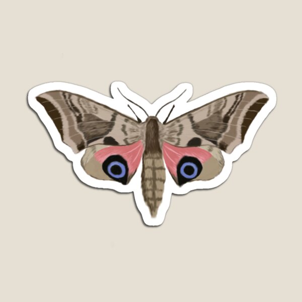 Item preview, Moth hand drawn designed and sold by fafdigitalart.