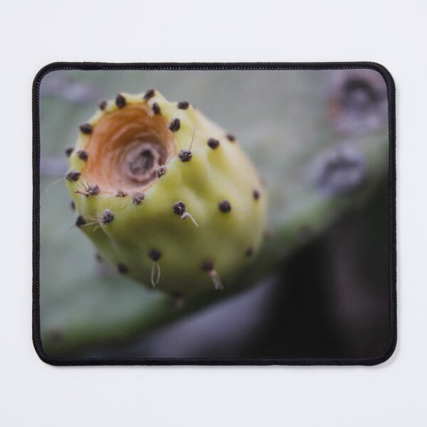 Item preview, Macro Close-Up Of Unripe Prickly Pear Cactus Fruit On Green Pad With Soft Background designed and sold by Nmallia.