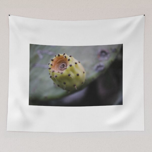 Item preview, Macro Close-Up Of Unripe Prickly Pear Cactus Fruit On Green Pad With Soft Background designed and sold by Nmallia.