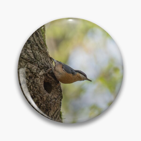 Item preview, Eurasian Nuthatch designed and sold by Dominique TRUCK.