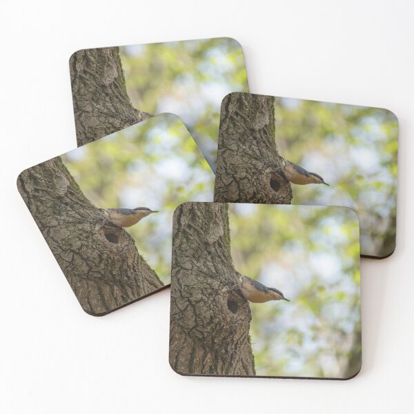 Item preview, Eurasian Nuthatch designed and sold by Dominique TRUCK.