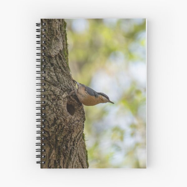 Item preview, Eurasian Nuthatch designed and sold by Dominique TRUCK.