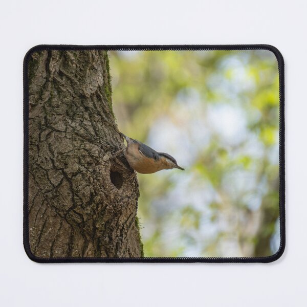 Item preview, Eurasian Nuthatch designed and sold by Dominique TRUCK.