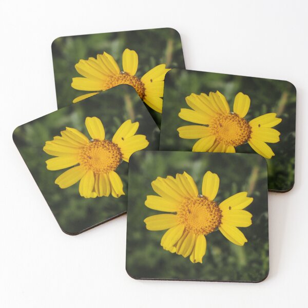 Item preview, Close-Up Of Bright Yellow Daisy Flower With Small Insects On Petals In Green Garden Background designed and sold by Nmallia.
