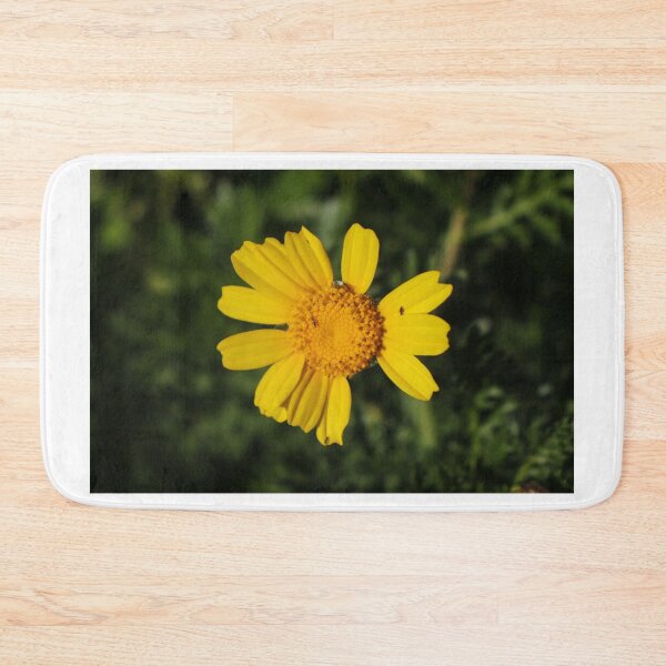 Item preview, Close-Up Of Bright Yellow Daisy Flower With Small Insects On Petals In Green Garden Background designed and sold by Nmallia.