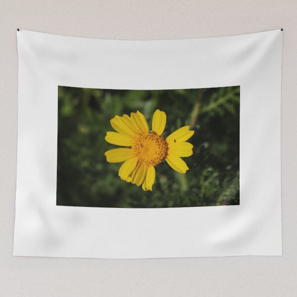 Item preview, Close-Up Of Bright Yellow Daisy Flower With Small Insects On Petals In Green Garden Background designed and sold by Nmallia.