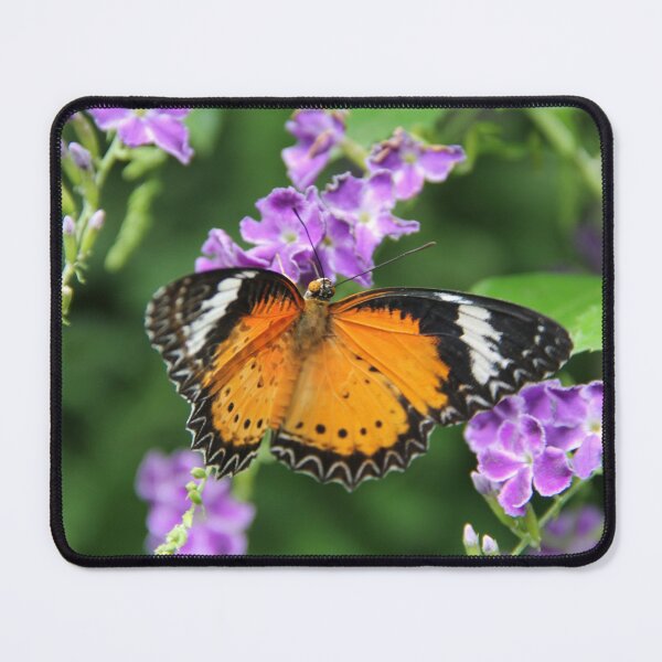 Item preview, Orange butterfly on a purple flower designed and sold by GreatShinigami.