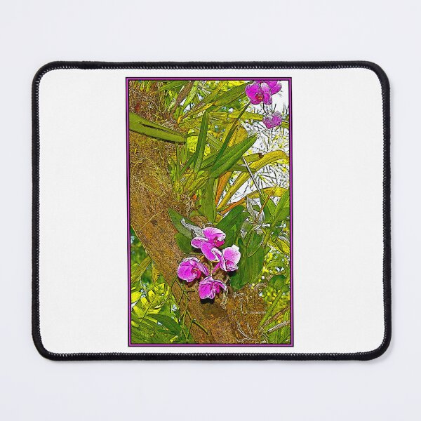 Item preview, Moth Orchid Plant, Vibrant Flowers, Digital Illustration designed and sold by AMacGPhilly.