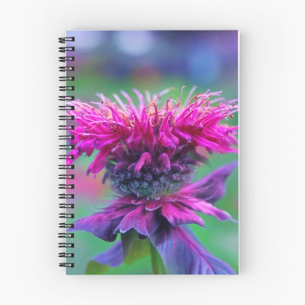 Item preview, Bee Balm Crowning Glory designed and sold by Jessica Jenney.