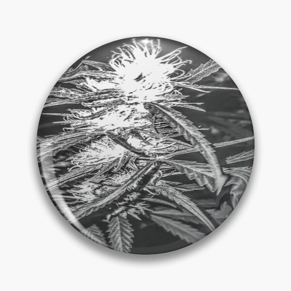 Item preview, Budd designed and sold by DoPeiNk!.