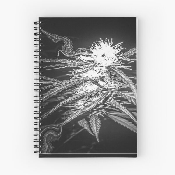 Item preview, Budd designed and sold by DoPeiNk!.