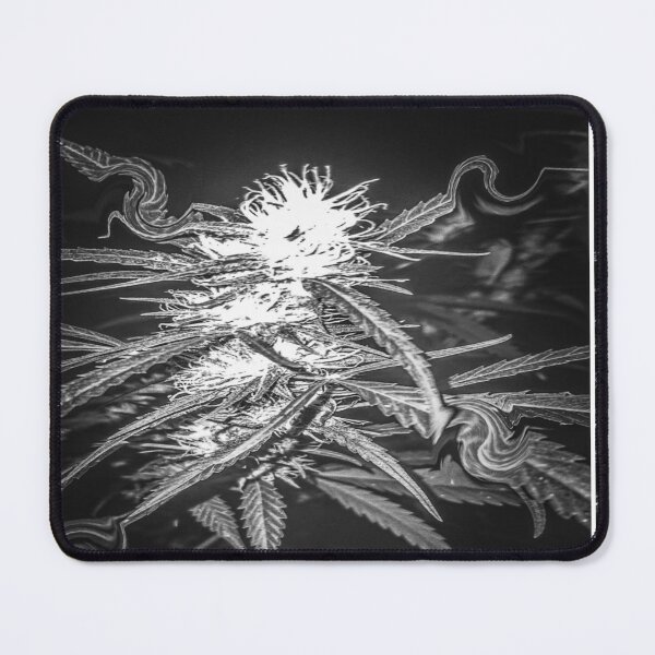 Item preview, Budd designed and sold by DoPeiNk!.