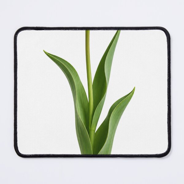 Item preview, tulip designed and sold by irisArtts.