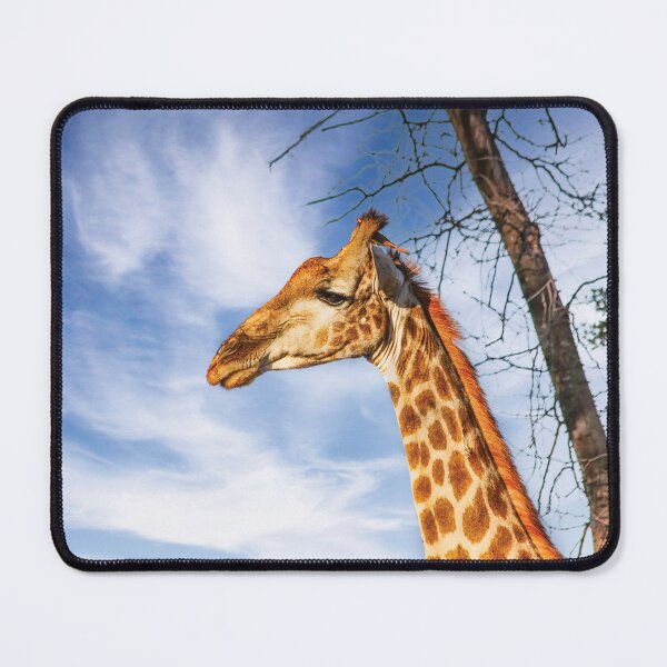 Item preview, A Giraffe and His Bird designed and sold by Kay Brewer.
