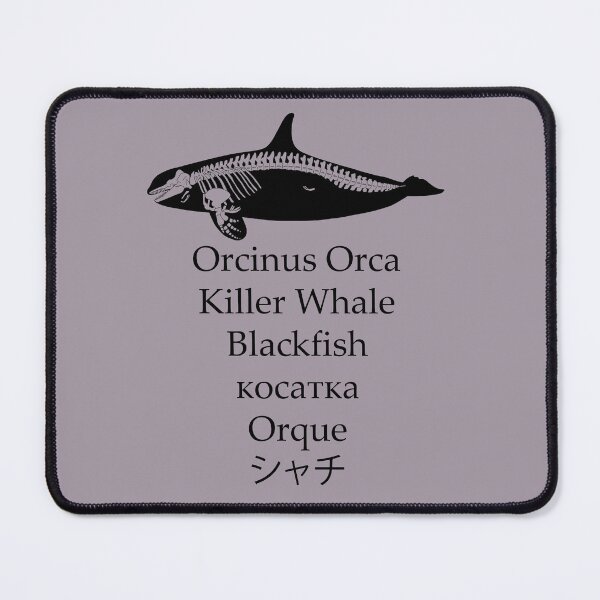 Item preview, Female Killer Whale Transparent Skeleton. designed and sold by Selena Rivera.