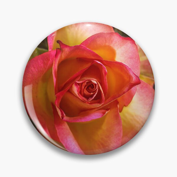 Item preview, Vibrant Yellow and Red Bi-Color Rose Macro designed and sold by MariaAteva.