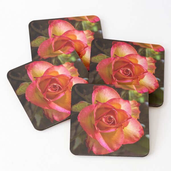 Item preview, Vibrant Yellow and Red Bi-Color Rose Macro designed and sold by MariaAteva.