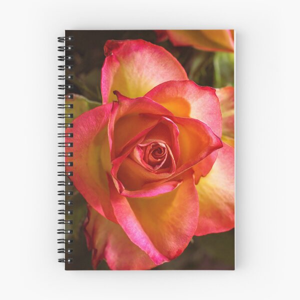 Item preview, Vibrant Yellow and Red Bi-Color Rose Macro designed and sold by MariaAteva.