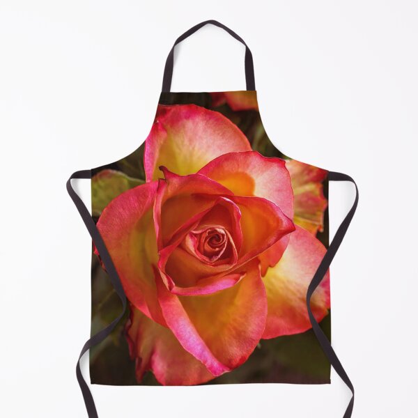 Item preview, Vibrant Yellow and Red Bi-Color Rose Macro designed and sold by MariaAteva.