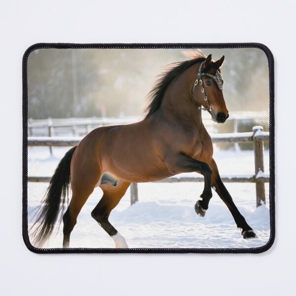 Item preview, Rearing Horse in Snow with Ornate Bridle designed and sold by IntelliMindDesigns.