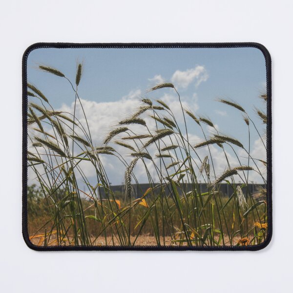 Item preview, Golden Wheat Stalks Swaying in Wind Across a Summer Field Under Blue Sky and Clouds designed and sold by Nmallia.