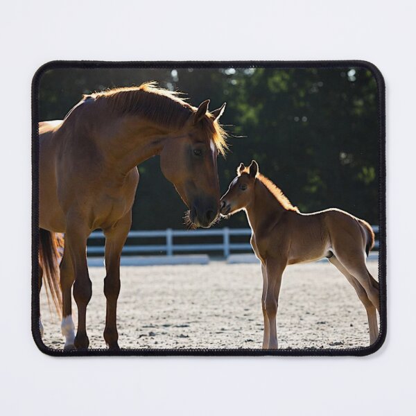 Item preview, Mare and Foal Nuzzling Tender Moment designed and sold by IntelliMindDesigns.