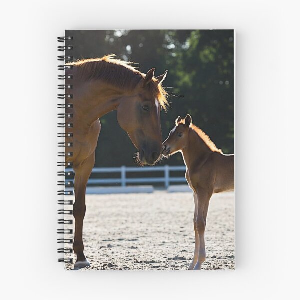 Item preview, Mare and Foal Nuzzling Tender Moment designed and sold by IntelliMindDesigns.