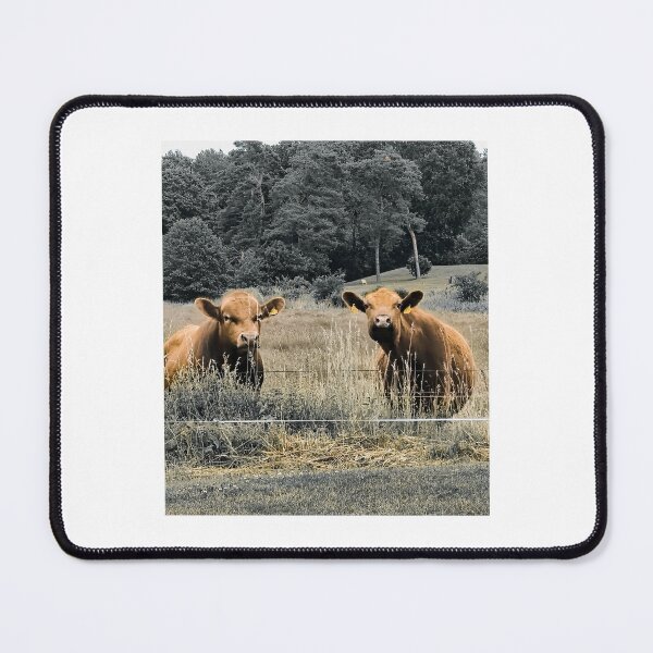 Item preview, cow designed and sold by Kasia1987t.