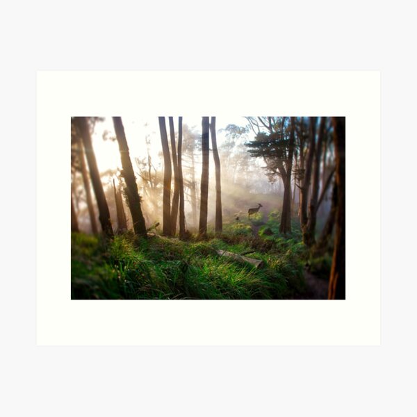 Item preview, Babe in the Woods designed and sold by Richard Mason.