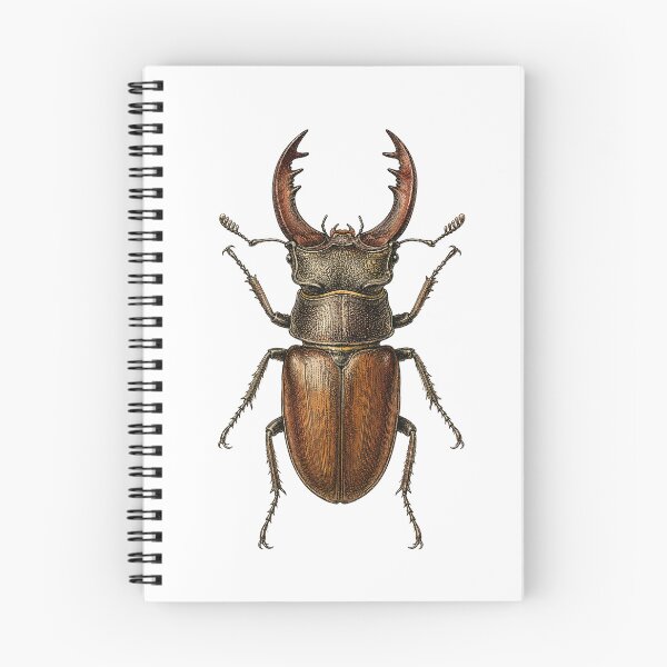 Item preview, Antique Stag Beetle Naturalist Specimen Plate designed and sold by eignvalue.