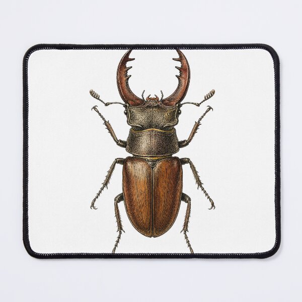 Item preview, Antique Stag Beetle Naturalist Specimen Plate designed and sold by eignvalue.