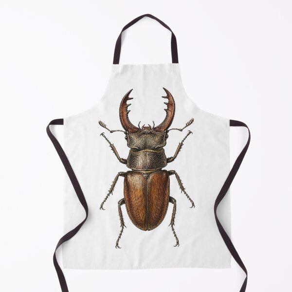 Item preview, Antique Stag Beetle Naturalist Specimen Plate designed and sold by eignvalue.