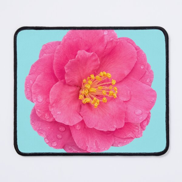 Item preview, Dew Kissed Pink Camellia Blossom designed and sold by MoonlitWhiskers.