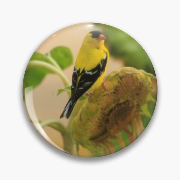 Item preview, Pretty Goldfinch on a Sunflower designed and sold by Chris Coates Photography.com.