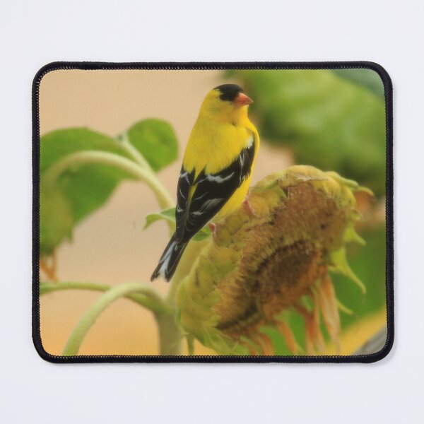 Item preview, Pretty Goldfinch on a Sunflower designed and sold by Chris Coates Photography.com.
