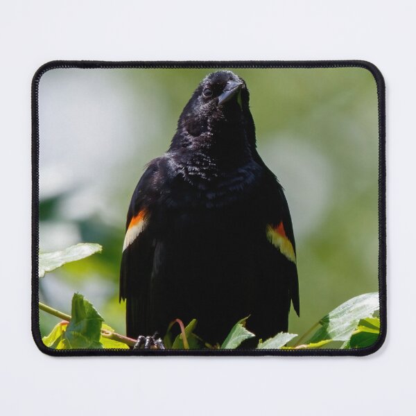 Item preview, Watching designed and sold by Tim Dusenberry.