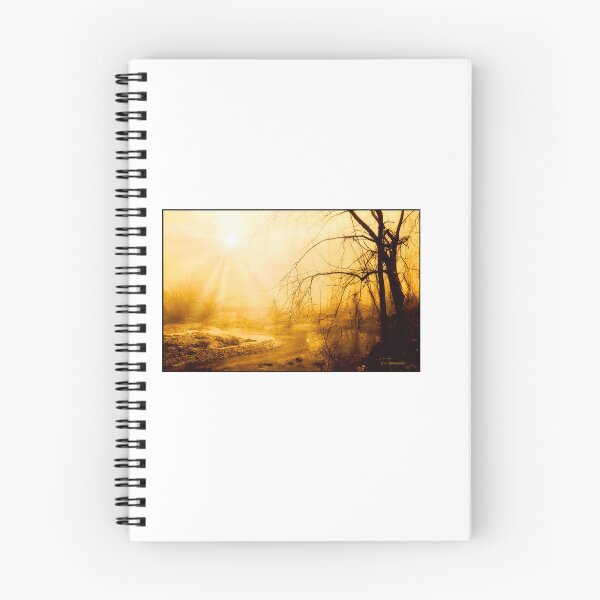 Item preview, Spiritual Light Penetrates a December Foggy Morning designed and sold by AMacGPhilly.