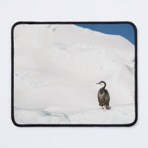 Item preview, Lonely Cormorant on an Iceberg designed and sold by PhotoArt by Joan Carroll.