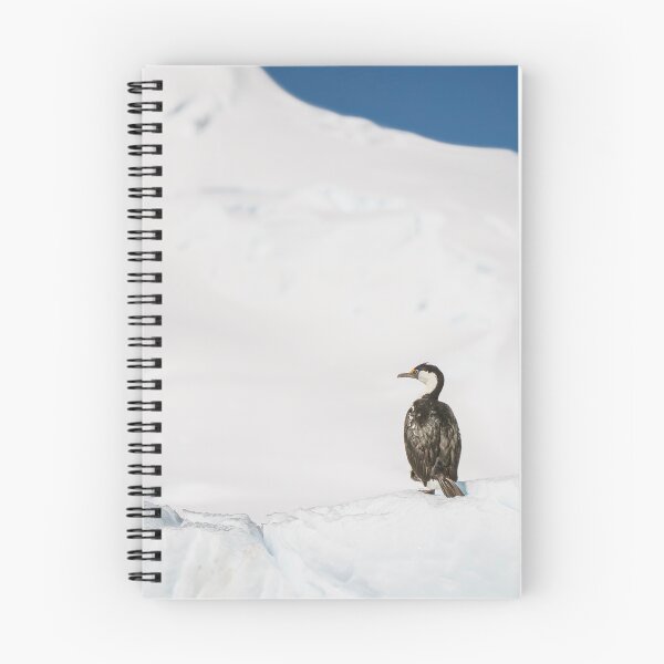 Item preview, Lonely Cormorant on an Iceberg designed and sold by PhotoArt by Joan Carroll.